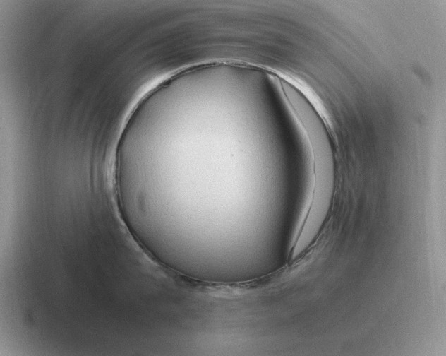 X0000116680815201001041147