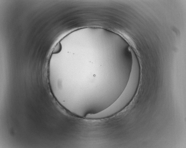 X0000116680816201001041147