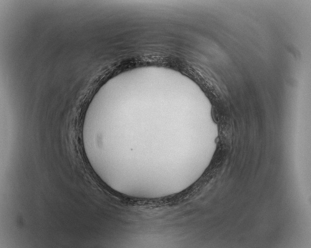 X0000116680817201001041147