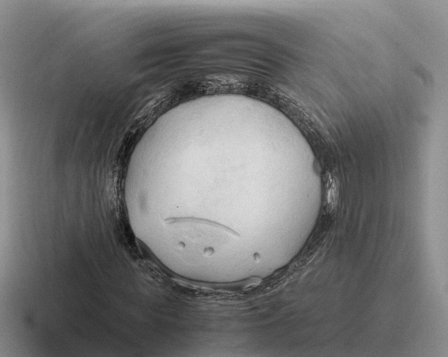 X0000116680819201001041147