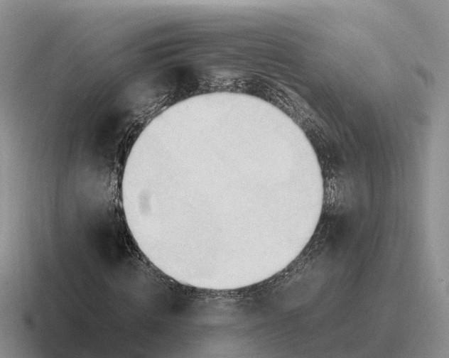 X0000116680820201001041147