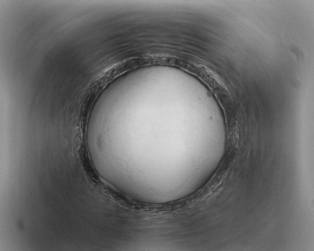 X0000116680821201001041147