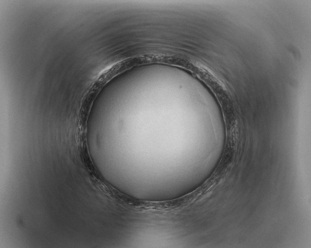 X0000116680822201001041147