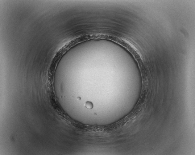 X0000116680823201001041147