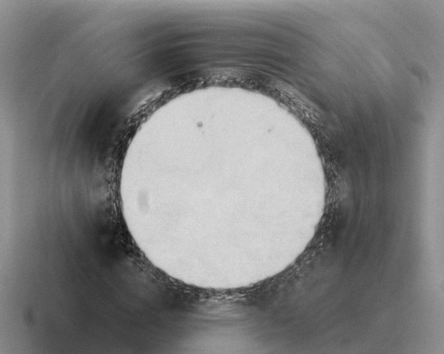 X0000116680824201001041147