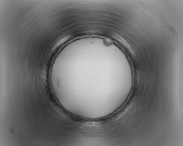 X0000116680826201001041147