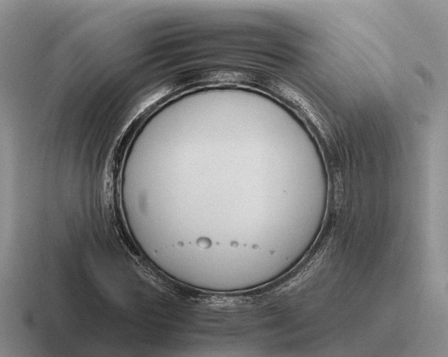 X0000116680827201001041147