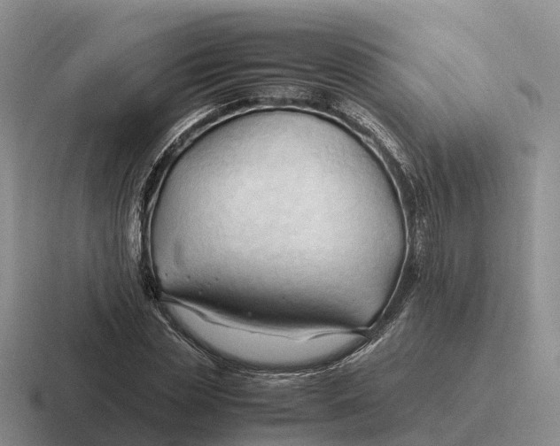 X0000116680829201001041147