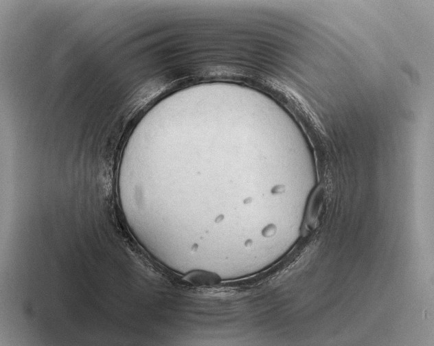 X0000116680833201001041147