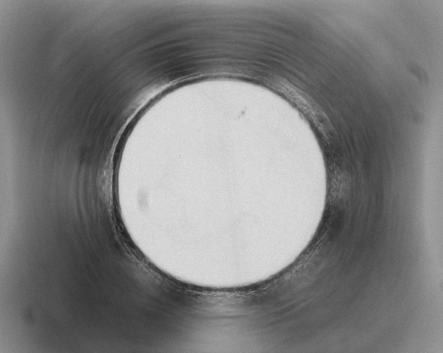 X0000116680836201001041147