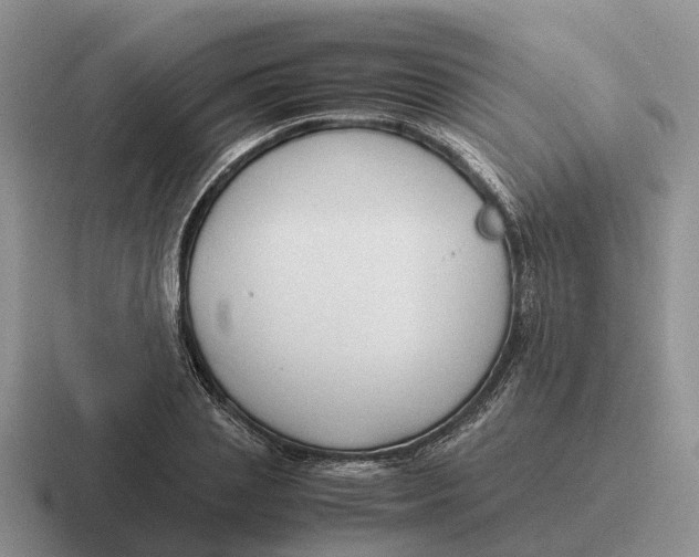 X0000116680837201001041147