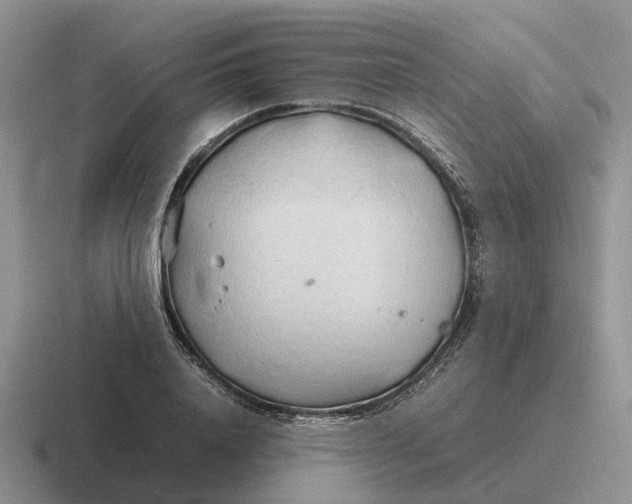 X0000116680840201001041147