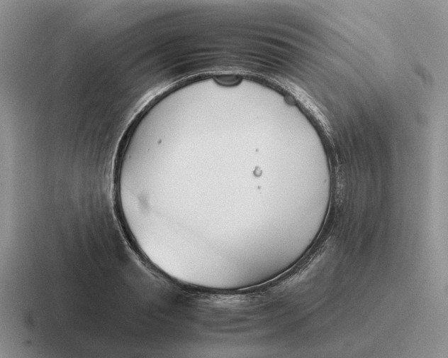 X0000116680845201001041147