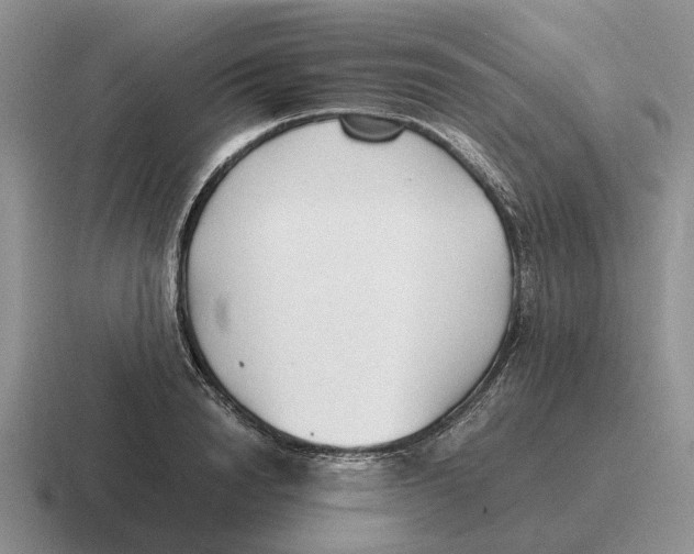 X0000116680846201001041147