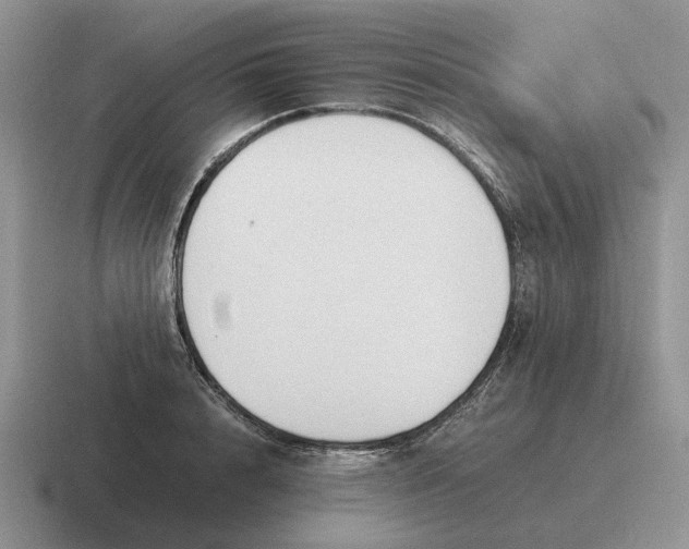 X0000116680848201001041147