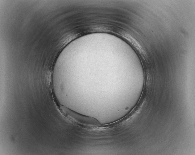 X0000116680849201001041147