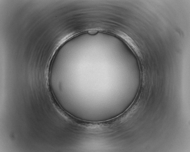 X0000116680850201001041147