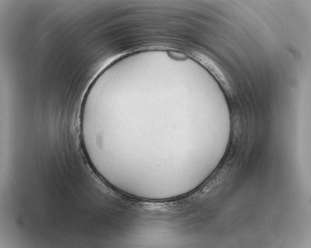 X0000116680852201001041147