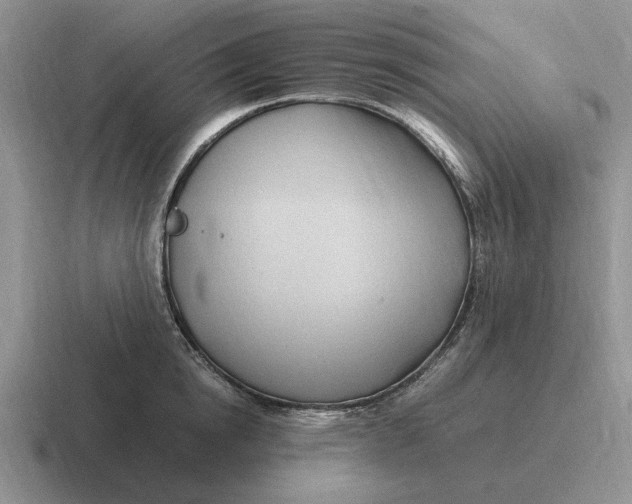 X0000116680854201001041147