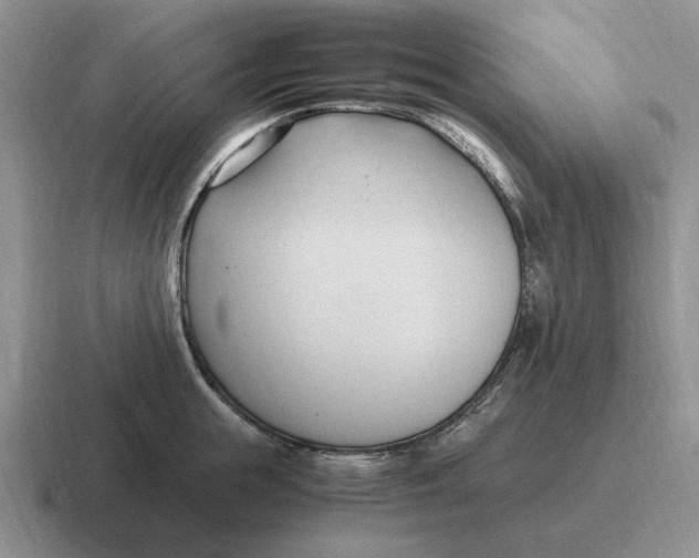 X0000116680855201001041147