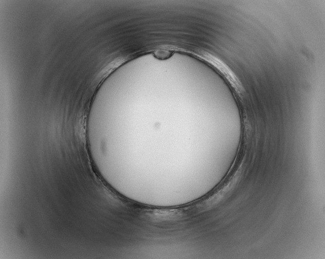 X0000116680857201001041147