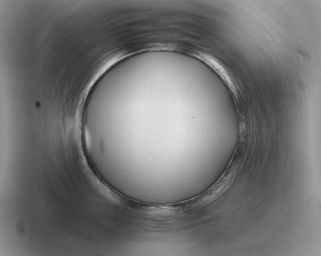 X0000116680859201001041147