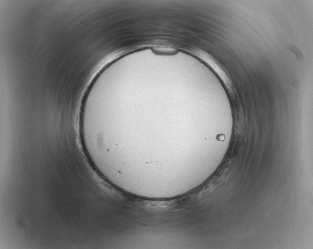 X0000116680861201001041147