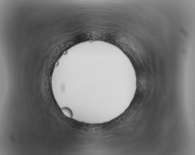 X0000116680865201001041147