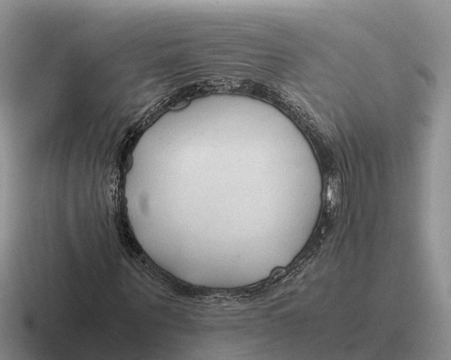 X0000116680867201001041147