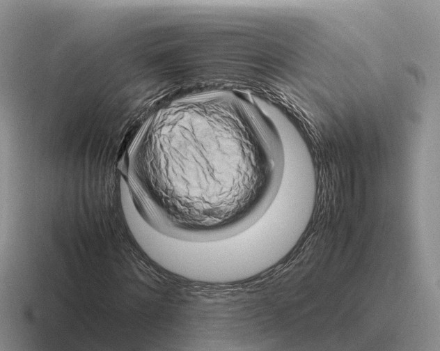 X0000116680868201001041147