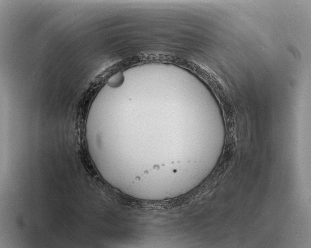 X0000116680870201001041147