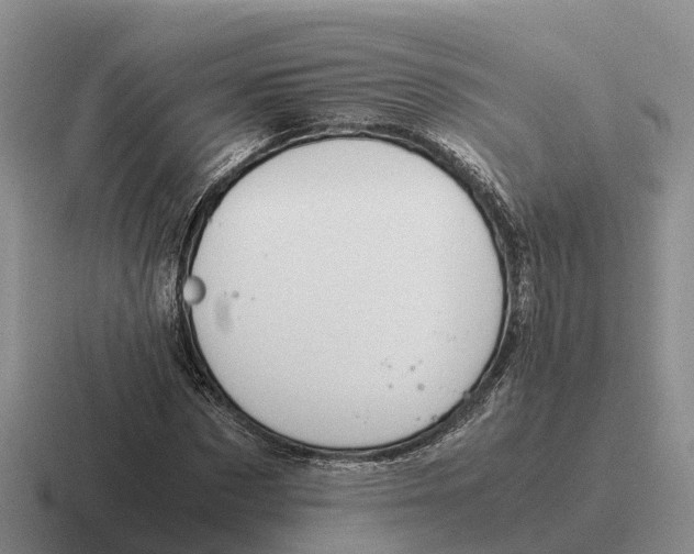 X0000116680873201001041147