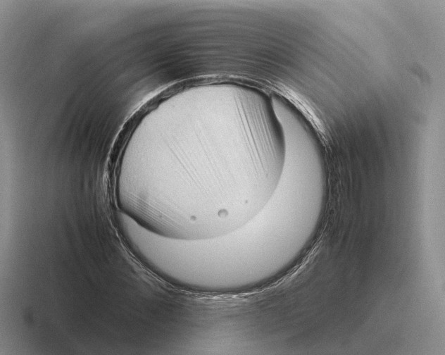 X0000116680876201001041147