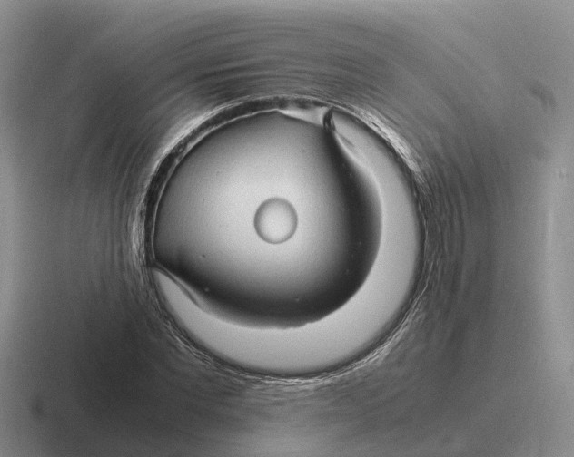 X0000116680877201001041147