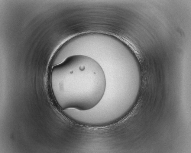 X0000116680880201001041147