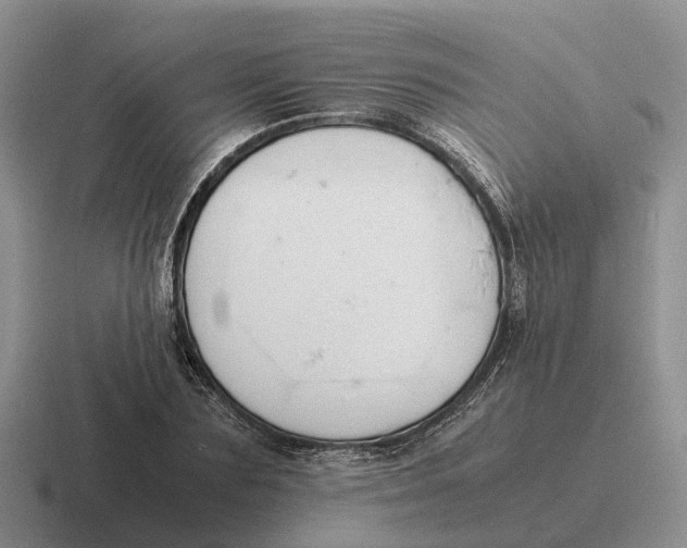 X0000116680883201001041146