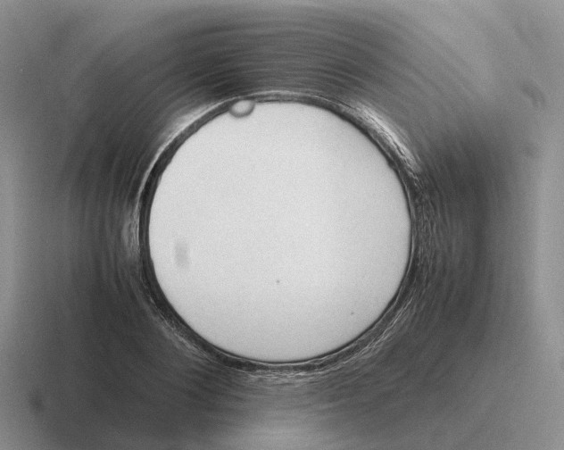 X0000116680884201001041146