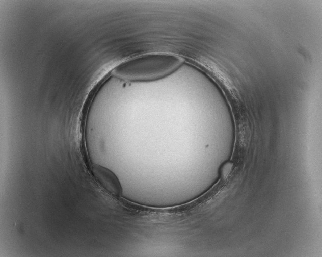 X0000116680885201001041146