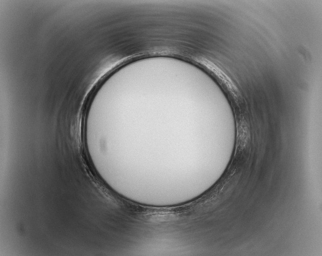 X0000116680886201001041146