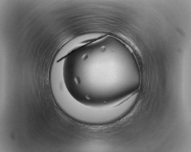 X0000116680889201001041146