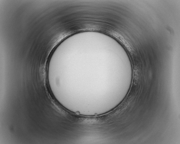 X0000116680890201001041146