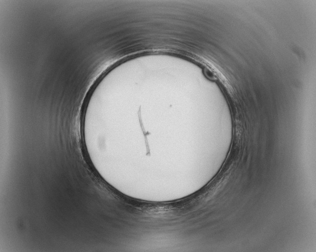 X0000116680891201001041146