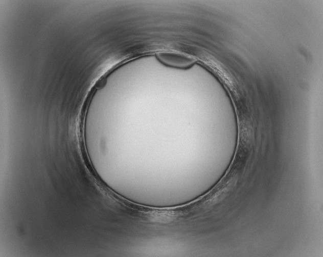 X0000116680893201001041146