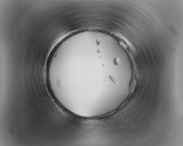 X0000116680894201001041146