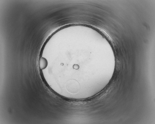 X0000116680895201001041146