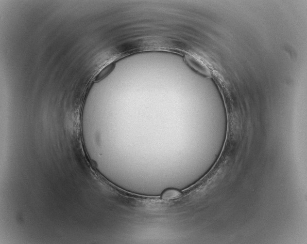 X0000116680897201001041146