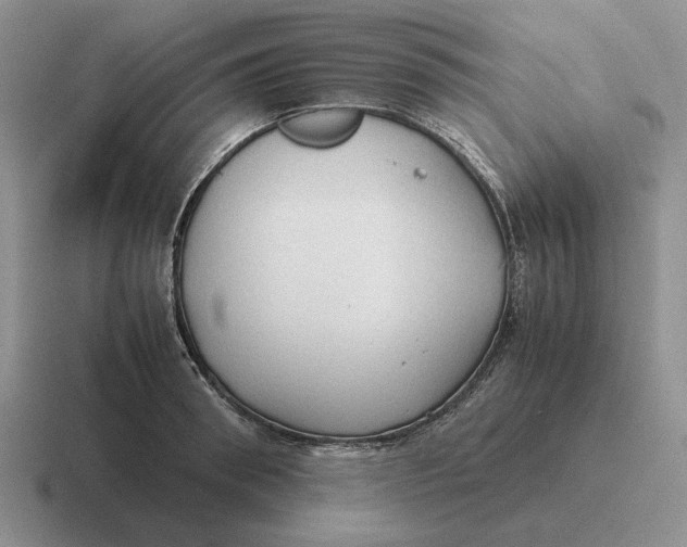 X0000116680898201001041146