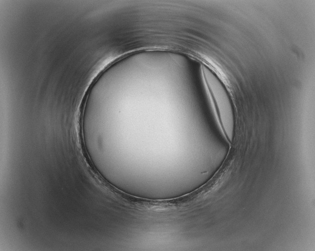 X0000116680899201001041146