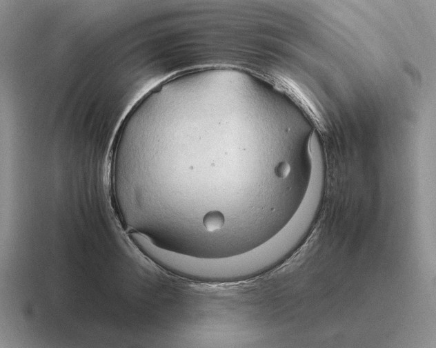 X0000116680900201001041146