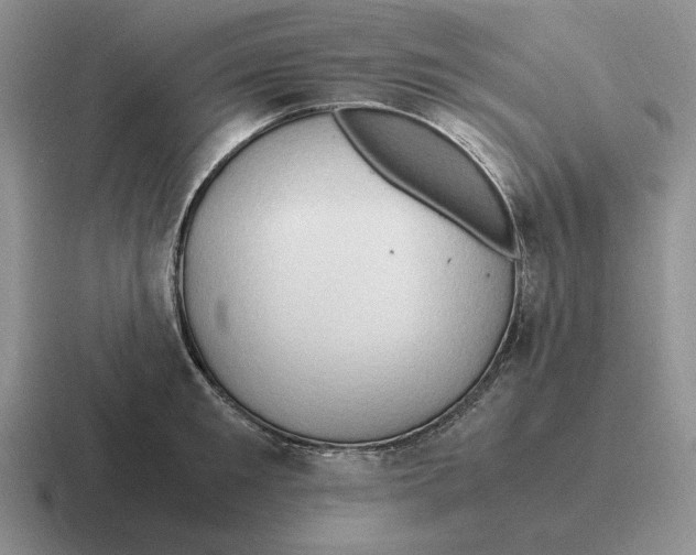 X0000116680901201001041146